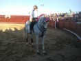 /album/cavalos-de-saida/a293281-1472730114113-3561642-n-jpg/