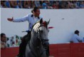 /album/cavalos-de-bandarilhas-e-ultimo-tercio/a314033-1542642981891-1589258449-n-jpg/