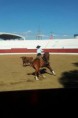 /album/i-concurso-morfo-funcional-do-cavalo-de-toureio-da-feira-de-garv%c3%a3o-/garv%c3%a3o5-jpg/