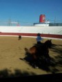 /album/i-concurso-morfo-funcional-do-cavalo-de-toureio-da-feira-de-garv%c3%a3o-/garv%c3%a3o9-jpg/