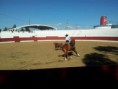/album/i-concurso-morfo-funcional-do-cavalo-de-toureio-da-feira-de-garv%c3%a3o-/garv%c3%a3o13-jpg/