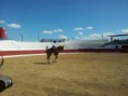 /album/i-concurso-morfo-funcional-do-cavalo-de-toureio-da-feira-de-garv%c3%a3o-/garv%c3%a3o18-jpg/